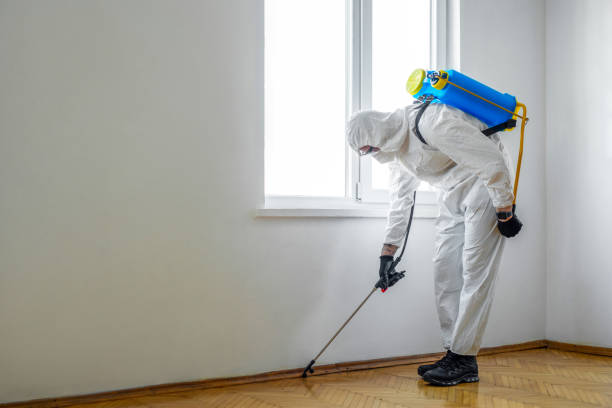 Best Wasp Removal Services  in New Providence, NJ